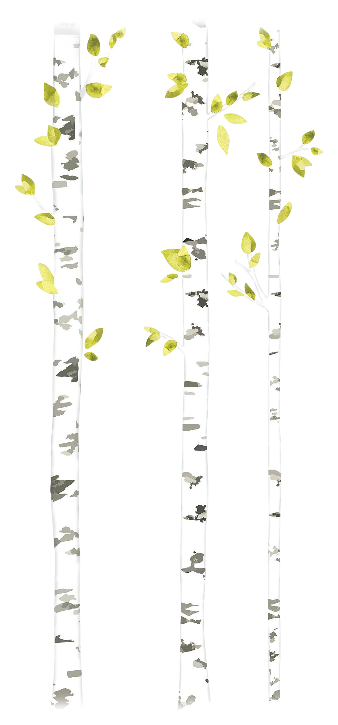 RoomMates Birch Trees PeelandStick Giant Wall Decal Set Cabela's